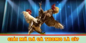 giai ma y nghia da ga thomo la gi 650x325 1 1