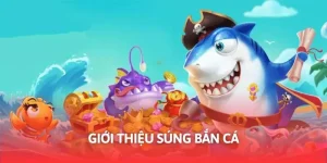 gioi thieu sung ban ca 1