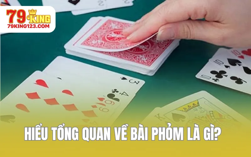 hieu tong quan ve bai phom la gi 1