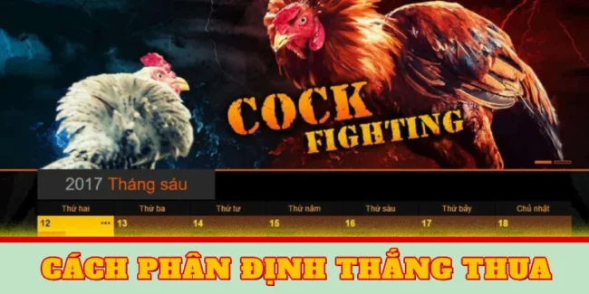 huong-dan-phan-dinh-thang-thua