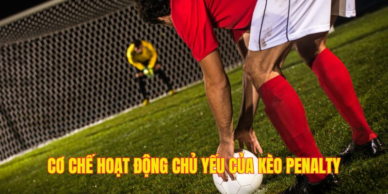 Chấp pen có nhiều tỷ lệ khác nhau, khá đa dạng và hấp dẫn