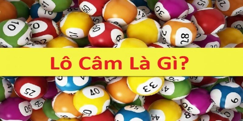 Khái niệm lô cấm 
