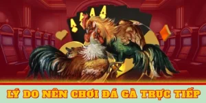ly do khach hang lua chon choi da ga truc tiep 650x325 1 1