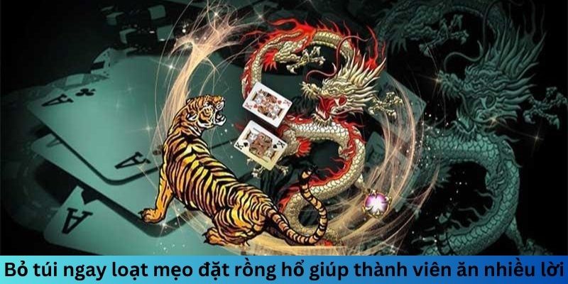 Bỏ túi ngay loạt mẹo đặt rồng hổ giúp thành viên ăn nhiều lời