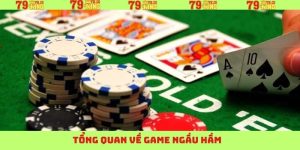 tong quan ve ngau ham 1