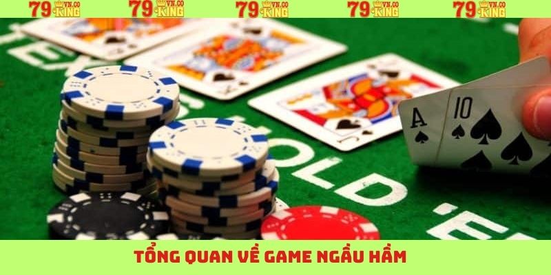 Tổng quan thông tin ngầu hầm