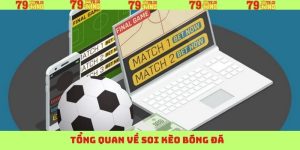 tong quan ve soi keo bong da 1